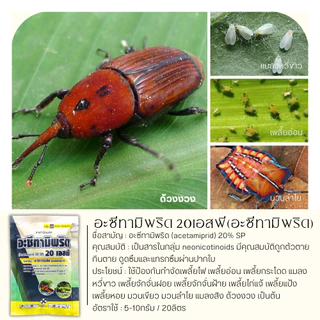 💥💥 โปรโมชั่น 💥💥 อะซีทามิพริด 20เอสพี ตราไก่เกษตร 100กรัม*10ซอง (อะซีทามิพริด) ป้องกำจัด เพลี้ยไฟ แมลงหวี่ขาว