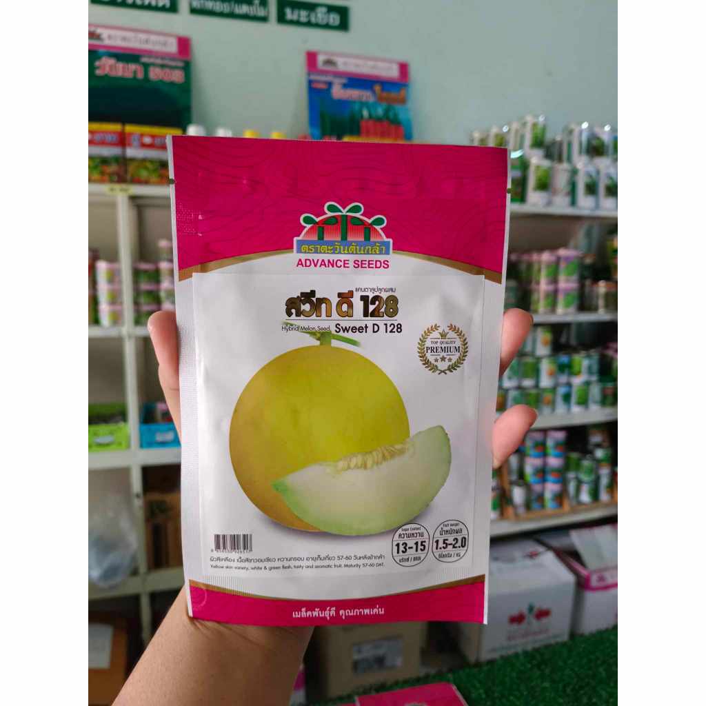 เมล็ดผลไม้ เมล่อน แคนตาลูป แตงโม ตราตะวันต้นกล้า - รูปที่ 3