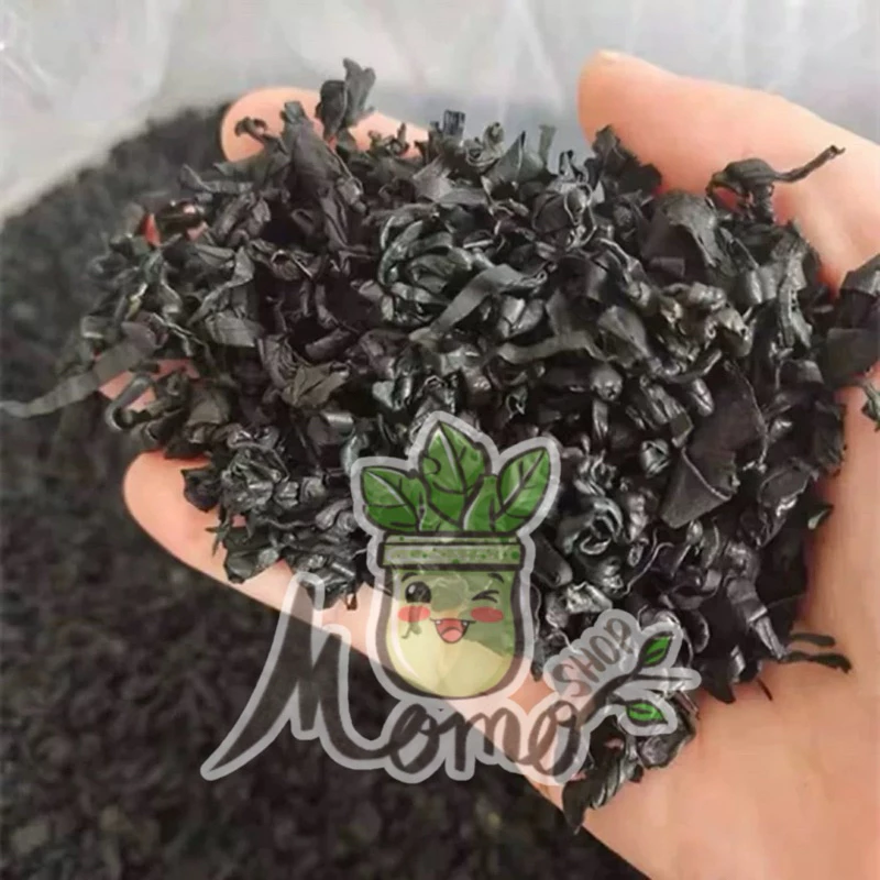 สาหร่ายวากาเมะขนาด 250g สาหร่ายทะเลอบแห้ง thumbnail 9