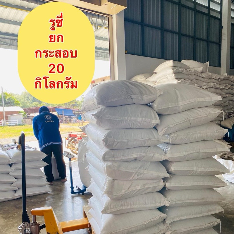 เมล็ดพันธุ์หญ้ารูซี่ 20 กก กระสอบใหญ่
