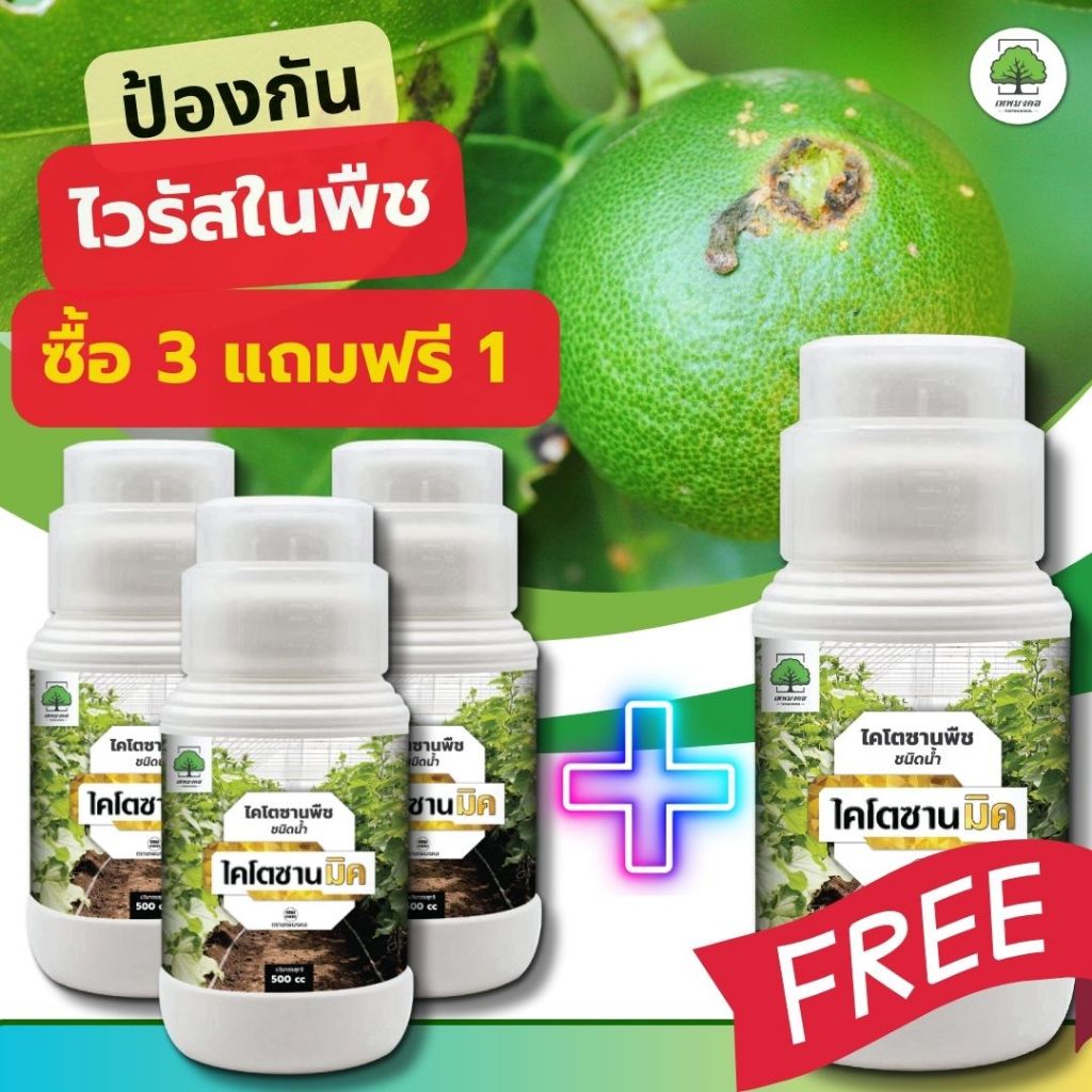 ไคโตซานมิค ( ซื้อ 3 แถมฟรี 1 ขวด) จบปัญหาแมลงศัตรูและไวรัชในพืช  แคงเกอร์ แอนแทรกโนส กุ้งแห้ง ใบหงิก ใบเหลือง