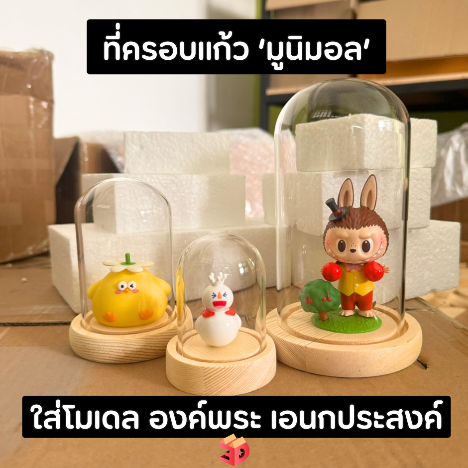 ที่ครอบแก้ว 'มูนิมอล' ใส่โมเดล องค์พระ เอนกประสงค์ ครอบแก้วพระ ฐานไม้ โดมแก้วฐานไม้
