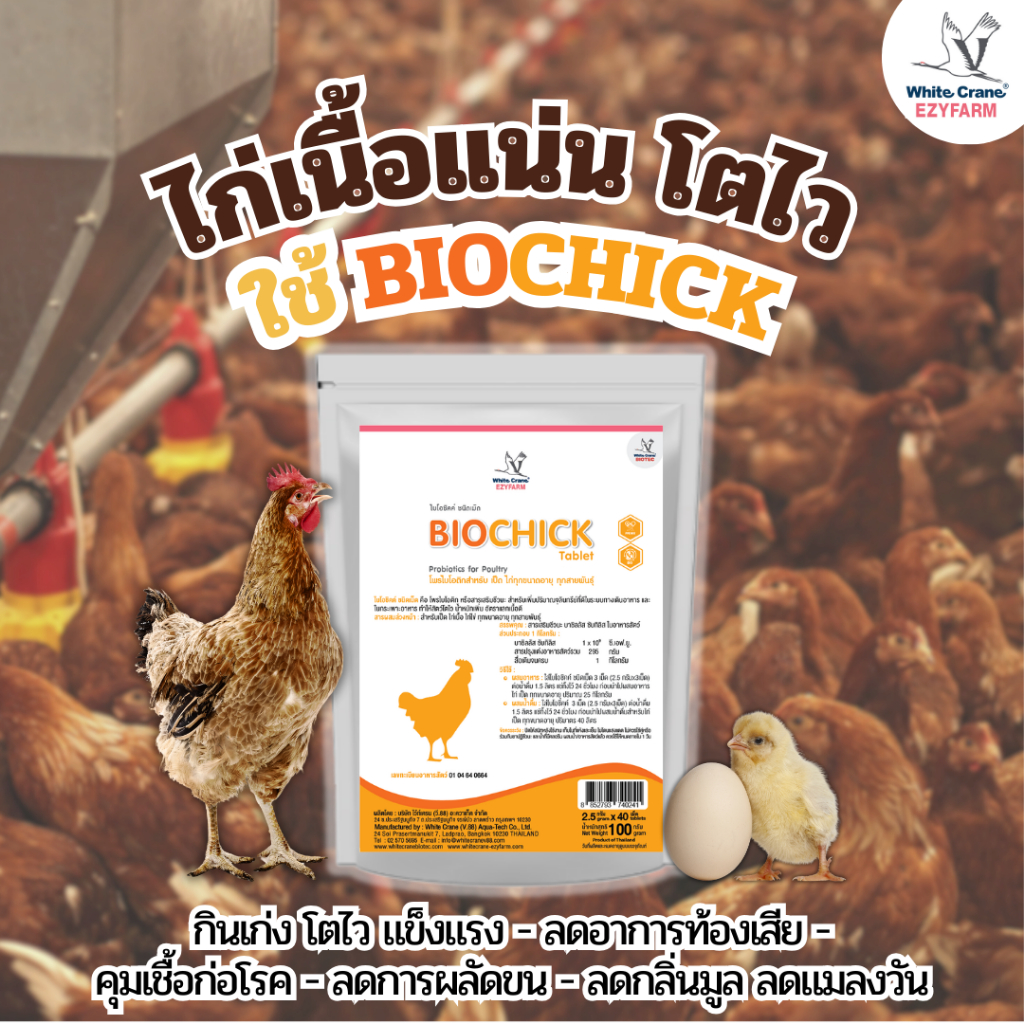 ไบโอชิคค์ (Bio Chick) จุลินทรีย์โพรไบโอติก สำหรับสัตว์ปีก เสริมภูมิ ลดการผลัดขน ไข่ดี เนื้อเยอะ