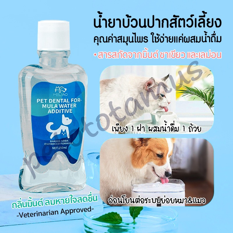 ใหม่! น้ำยาดับกลิ่นปากแมว สุนัข แบบผสมน้ำดื่ม 🌿 น้ำยาบ้วนปากแมว ดับกลิ่นปากสุนัข สารสกัดธรรมชาติ หมาแมวปากหอม 0%น้ำตาล