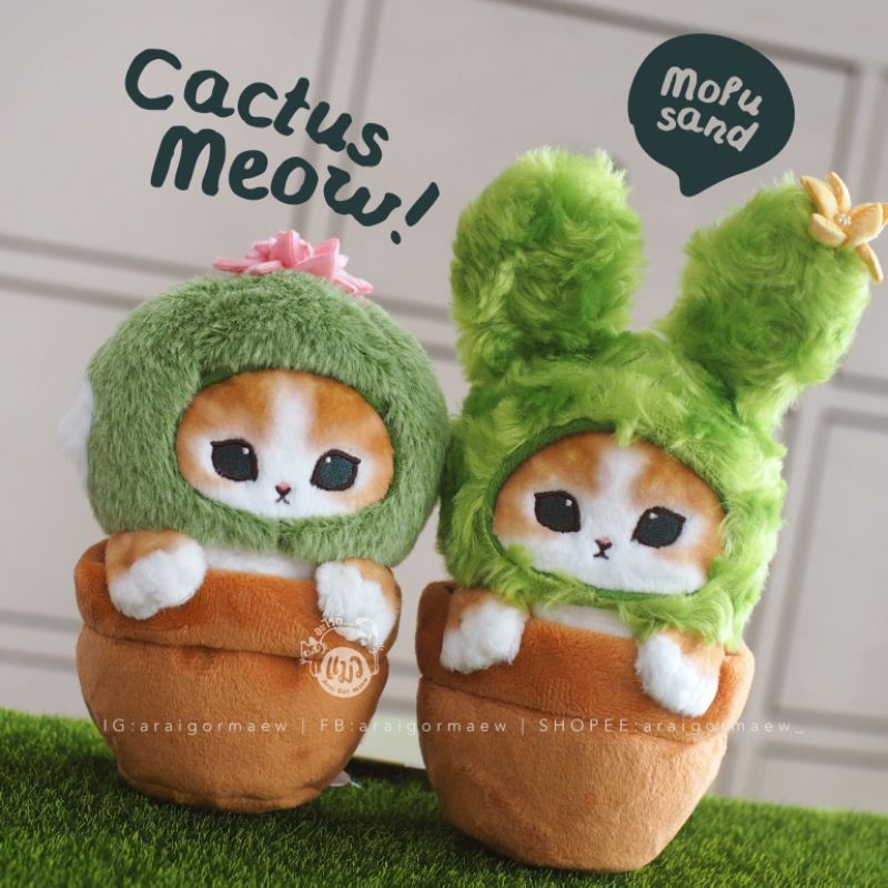 🌵พร้อมส่ง🌵ลิขสิทธิ์แท้ Mofusand💯🇯🇵ตุ๊กตา Mofusand Cactus Nyannuri