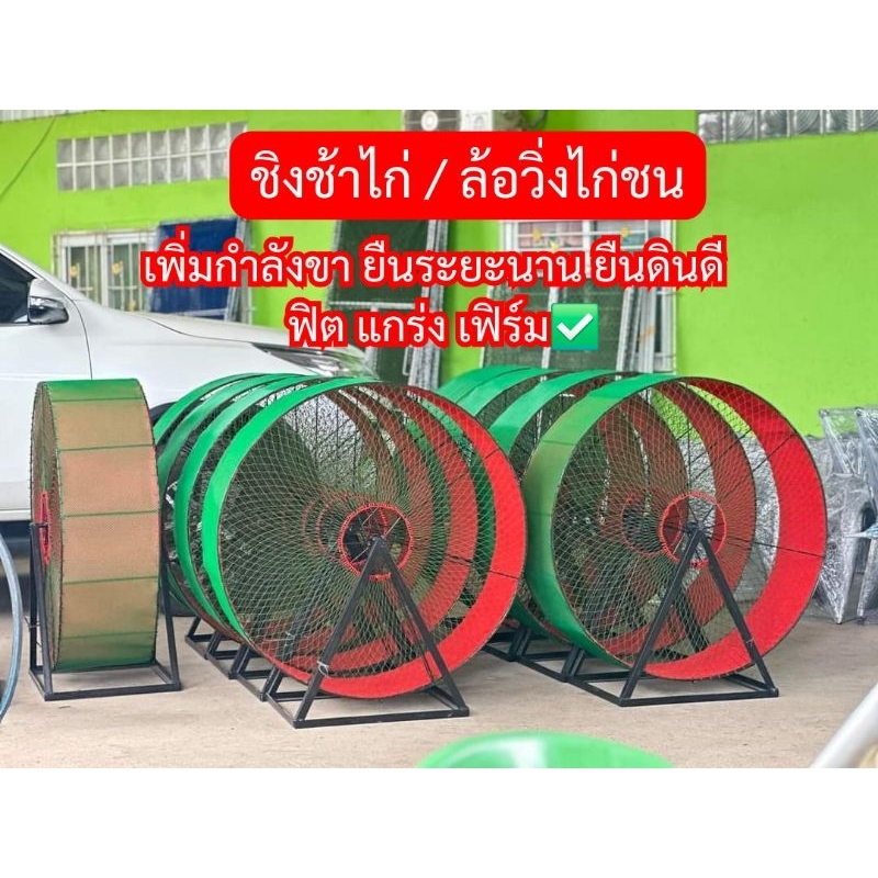 ล้อวิ่งไก่ชน ลู่วิ่งออกกำลังกาย ไก่ชน ชิงช้าไก่ วงล้อไก่ชน