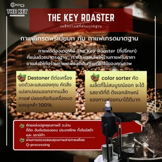 New School 500 กรัม เมล็ดกาแฟคั่วเข้ม อราบิก้า100% กาแฟเดอะคีย์,เมล็ดกาแฟคุณภาพ