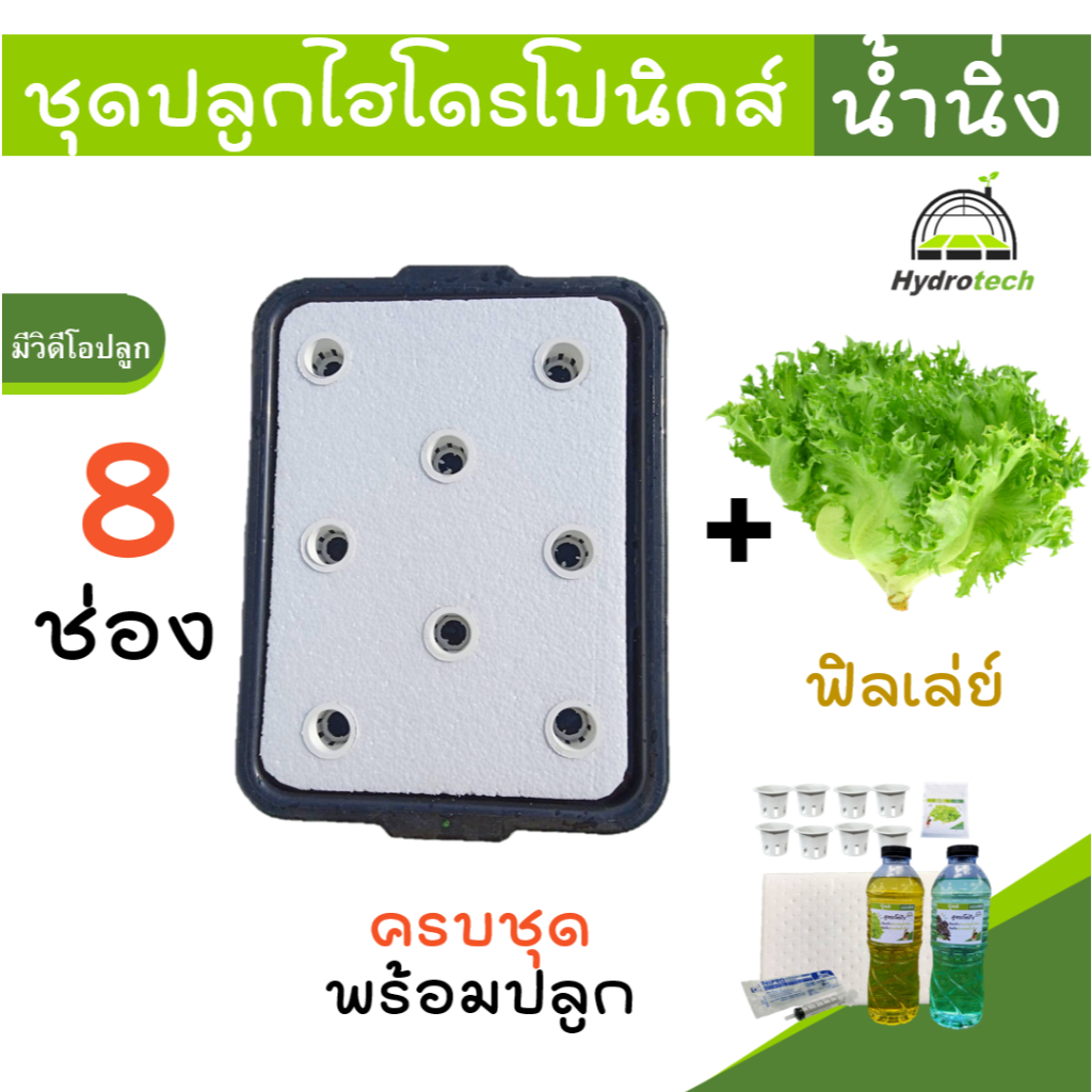 [กระบะ8ช่อง-ฟิลเลย์]ชุดทดลองปลูกผักไฮโดรโปนิกส์ เมล็ดฟิลเลย์ ปลูกผักไร้ดิน กระบะปลูกผักไฮโดรโปนิกส์
