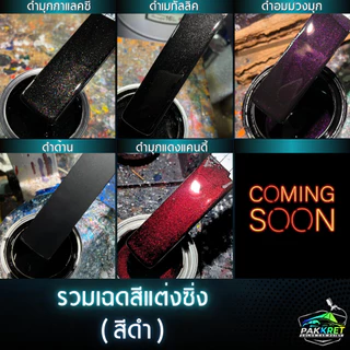 สีดำ รวมเฉดสีดำ รวมเฉดสีแต่งซิ่ง สี2k สีพ่นรถมอไซค์ สีพ่นรถยนต์ By PKC
