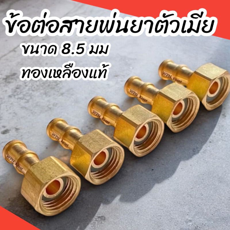 ข้อต่อสายพ่นยา ข้อทองเหลือง เกลียว 2 หุน 1/4 ข้อต่อเครื่องพ่นยา แบบเกลียว 8.5 มม.(ตัวเมีย) 1 ชุด