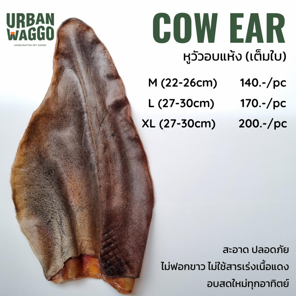 หูวัวอบแห้ง จากธรรมชาติ 100% ไม่ฟอกสี ไม่ใส่สารกันเสีย Dehydrated Cow Ear (whole) Urban waggo