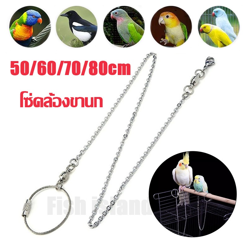 โซ่นก โซ่คล้องขานก โซ่นกแก้ว แยกขายกับห่วงเปิดนก หนา 0.8mm กันกัดได้ดี ใช้งานง่าย
