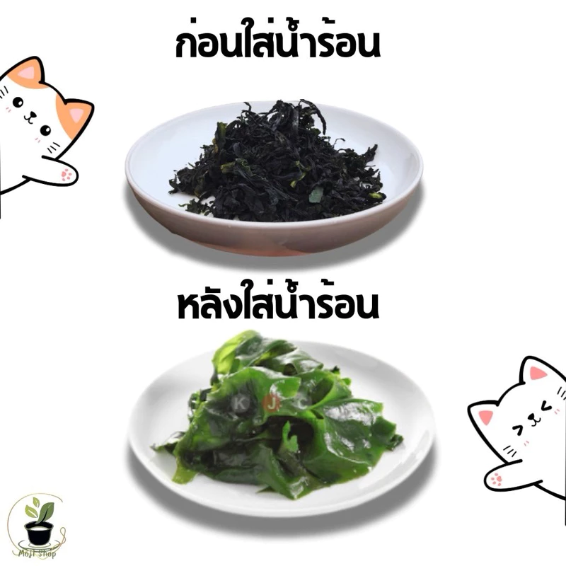 สาหร่ายวากาเมะอบแห้งขนาด250กรัม สาหร่ายทะเล สินค้ามีพร้อมส่ง thumbnail 4