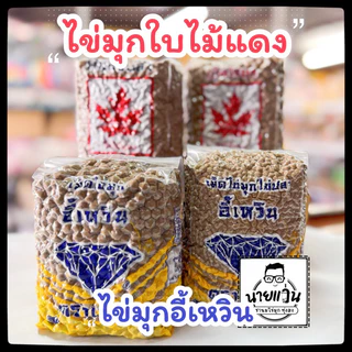 ไข่มุกอี้เหวิน ไข่มุกตราเพชร ไข่มุกใบไม้แดง ขนาด 1 กิโลกรัม