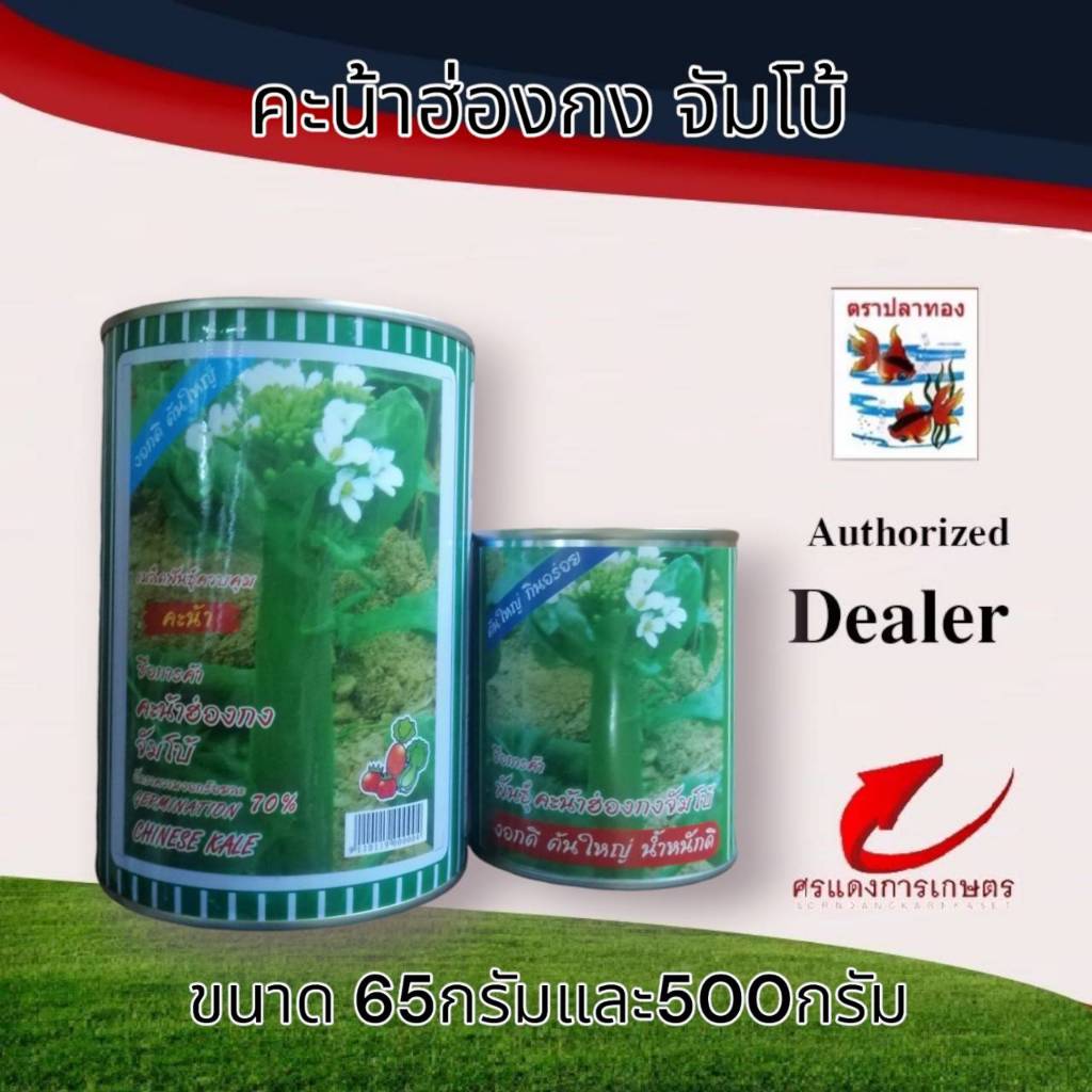 คะน้าฮ่องกงจัมโบ้ 65g  500g