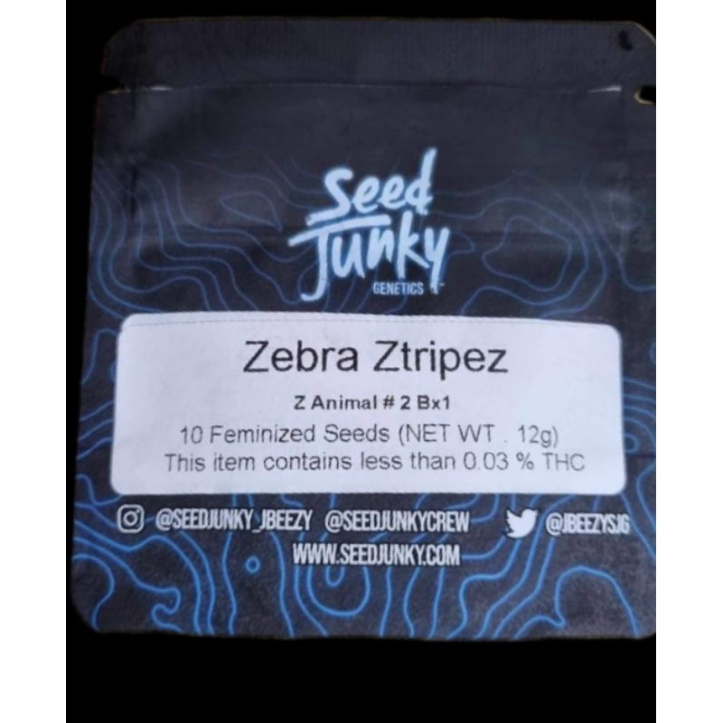 Zebra​ ztripez​ ค่าย​ seed​ junky​