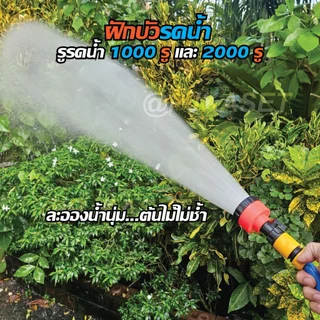 หัวฝักบัวรดน้ำ 1000-2000 รู มีวาล์วปิด-เปิดหรี่ปริมาณน้ำ และข้อต่อสวมเร็วสวมสายยาง รดน้ำนุ่ม ดินไม่กระจาย รดน้ำต้นไม้