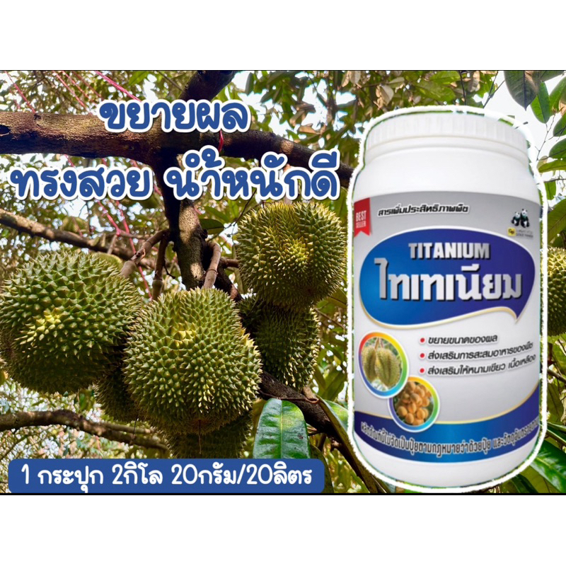 ไทเทเนียม TITANIUM 1กระปุก2 kg. ขยายผลทันใจ ลูกใหญ่สมบูรณ ไม้ผลได้ทุกชนิด ขยายพู ขึ้นลูกทุเรียน น้ำหนักดี ใช้สำหรับพืช