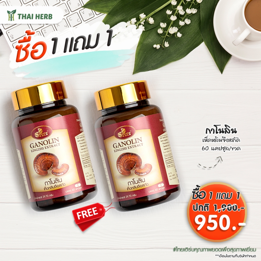 PHYTO GOLD กาโนลิน เห็ดหลินจือสกัด [60 แคปซูล]