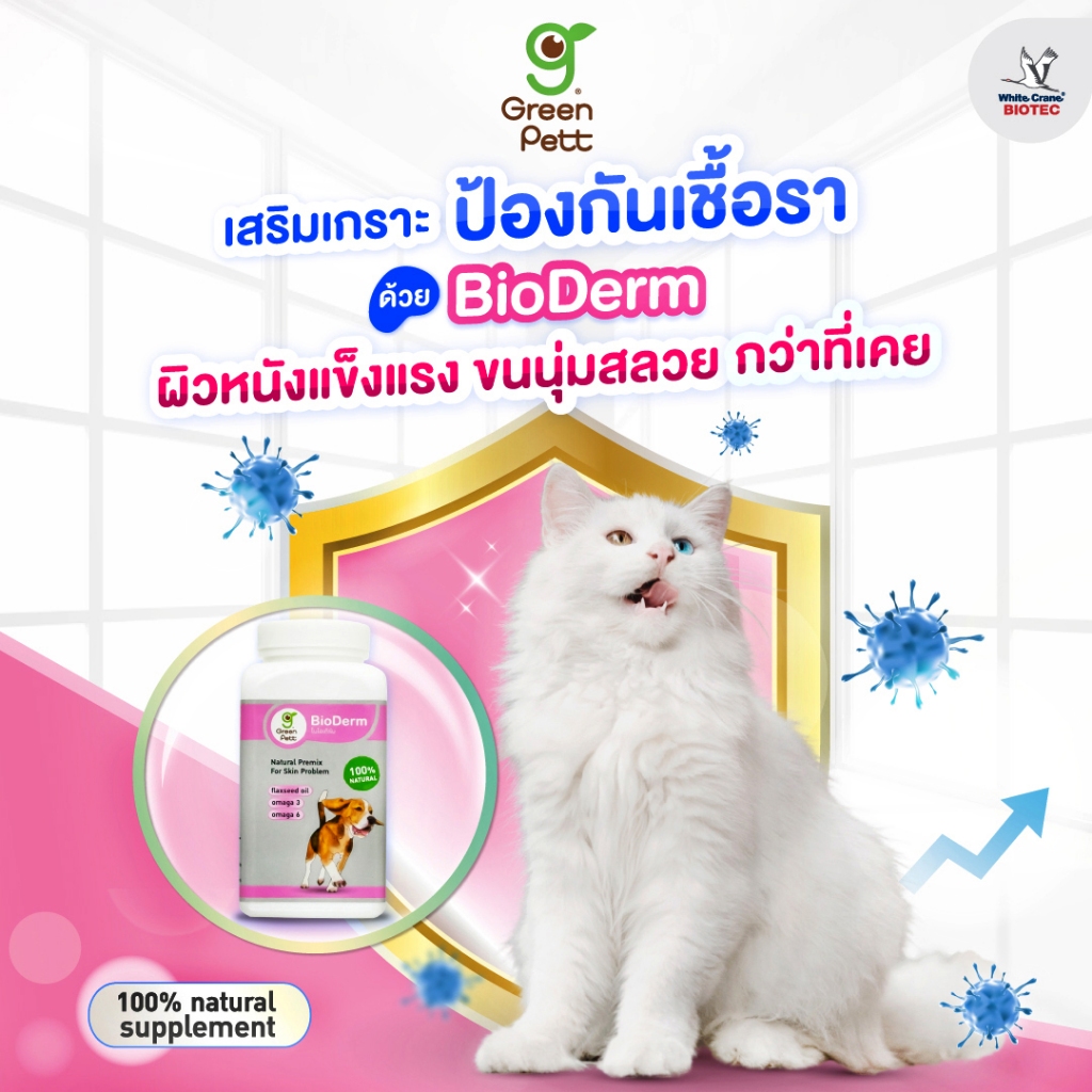 BioDerm  อาหารเสริมรักษาโรคผิวหนัง และเชื้อรา สำหรับสุนัขและแมว ขนาด 250 กรัม