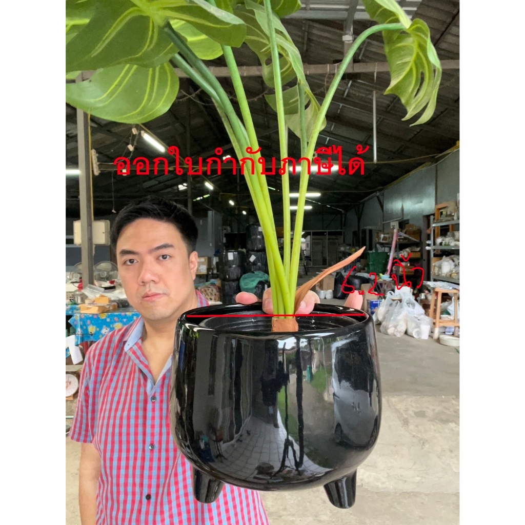 กระถางเซรามิค 3 ขา ทรง Minimal ขนาด XL 6.2นิ้ว สีดำ ออกใบกำกับภาษีได้