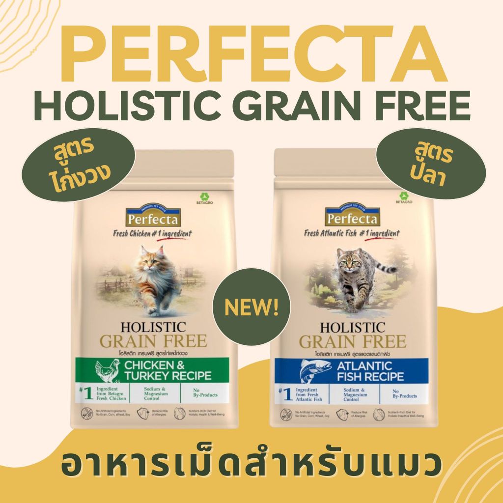 PERFECTA HOLISTIC GRAIN FREE เพอร์เฟคต้า แมวโตลูกแมว สูตร Atlantic fish / สูตรไก่และไก่งวง