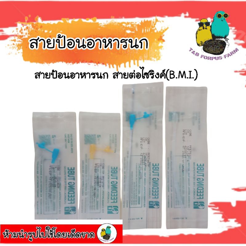 สายป้อน สายป้อนอาหารสำหรับนก มีทั้งหมด4ขนาด ราคา ถูกที่สุด ดีลบีเคเค รูปภาพหลัก