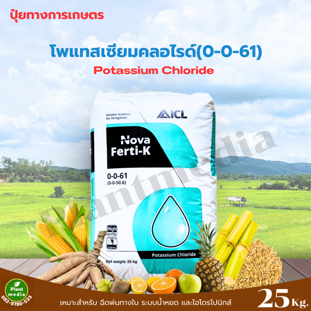 ปุ๋ย 0-0-61 ปุ๋ยเกล็ด Ferti-K (ICL fertilizer อิสราเอล) บรรจุ 25 กิโลกรัม.