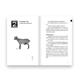 WORD ODYSSEY คำสัมพันธ์ศัพท์ซ้อน : อธิพงษ์ อมรวงศ์ปีติ