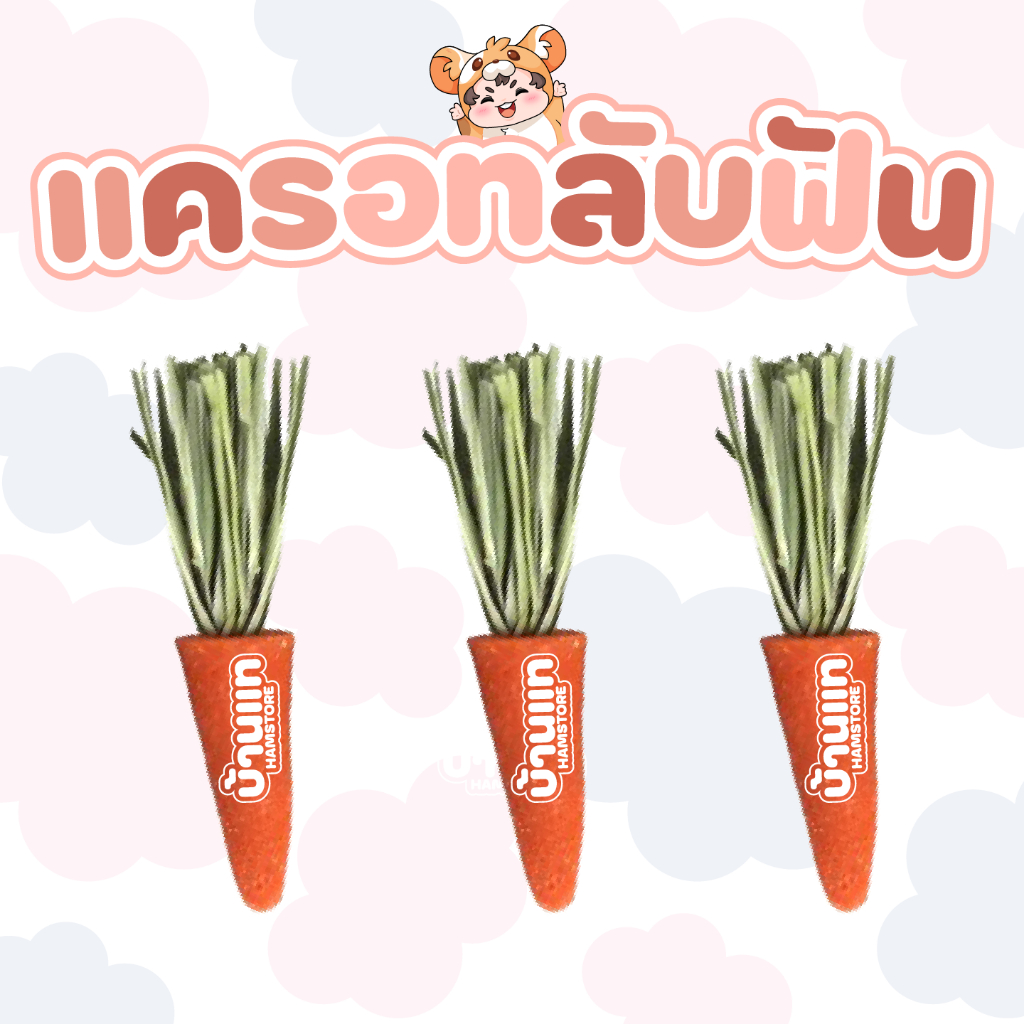 [สินค้าใหม่] แครอทลับฟันสำหรับสัตว์เลี้ยง ได้ทั้งแฮมสเตอร์ หนู ชูก้าร์ กระต่าย ผลิตจากผงแครอทแท้ในธรรมชาติ