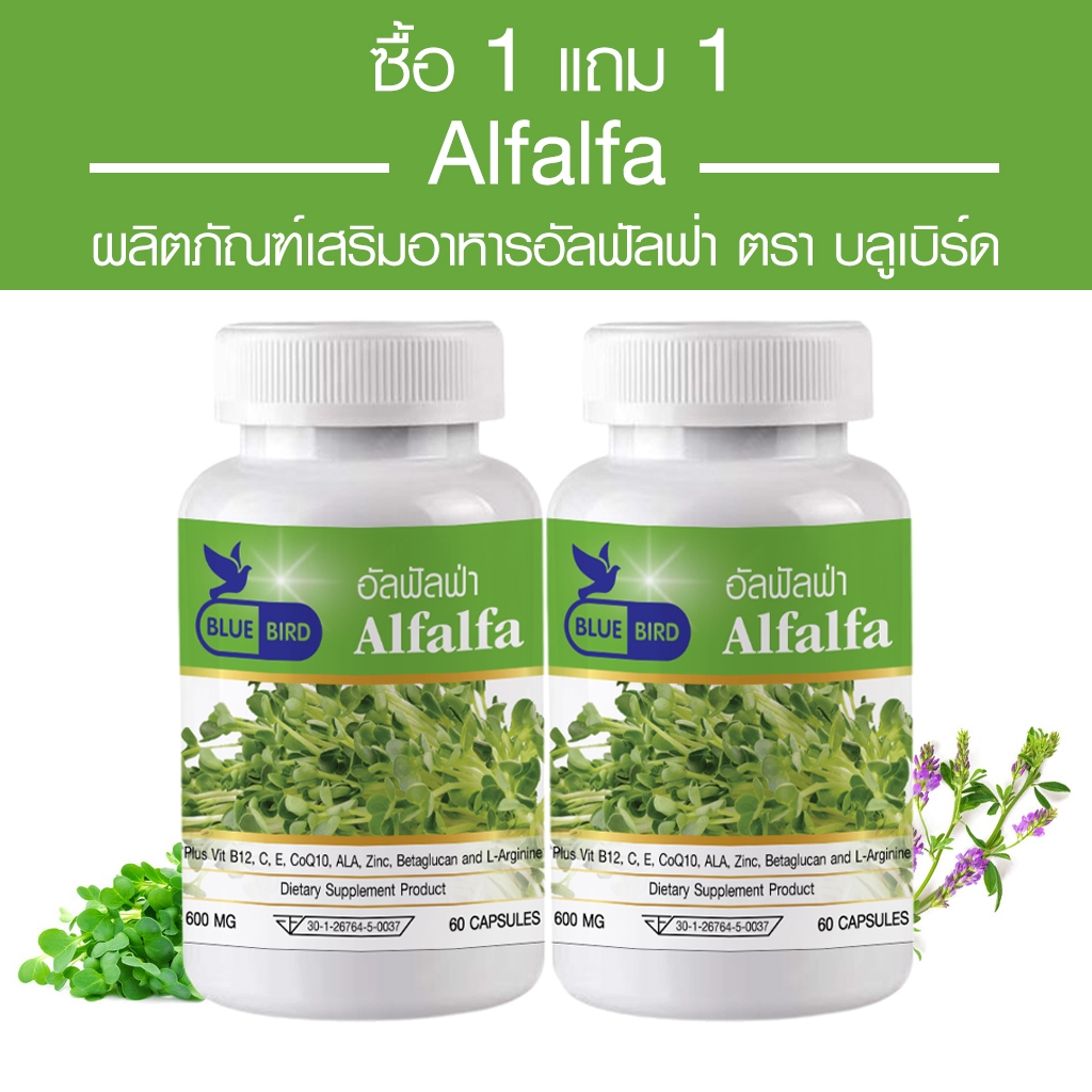 [1แถม1] อัลฟัลฟ่า Alfalfa ตรา บลูเบิร์ด ขนาด 600 มิลลิกรัม 60 แคปซูล