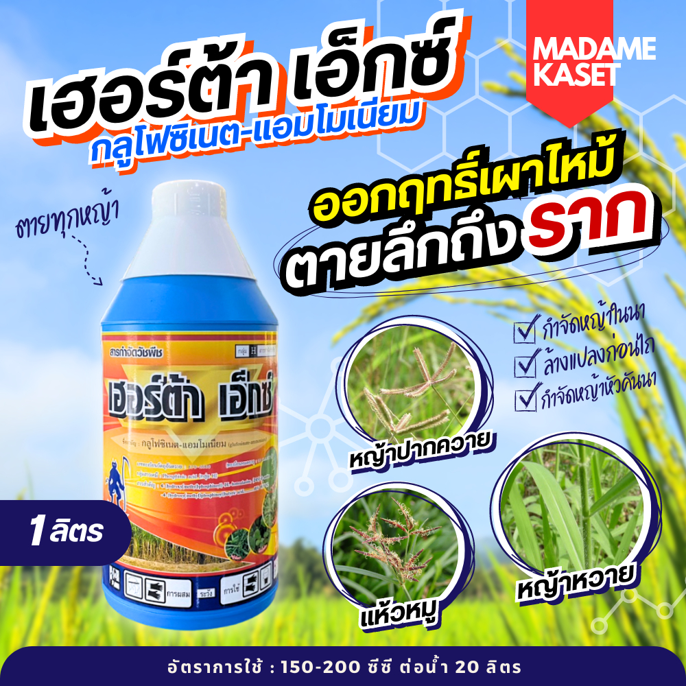 เฮอร์ต้า เอ็กซ์ 1 ลิตร (กลูโฟซิเนต-แอมโมเนียม) ออกฤทธิ์เผาไหม้ หญ้าตายดีตายไว ตายทุกหญ้า ตายลึกถึงราก