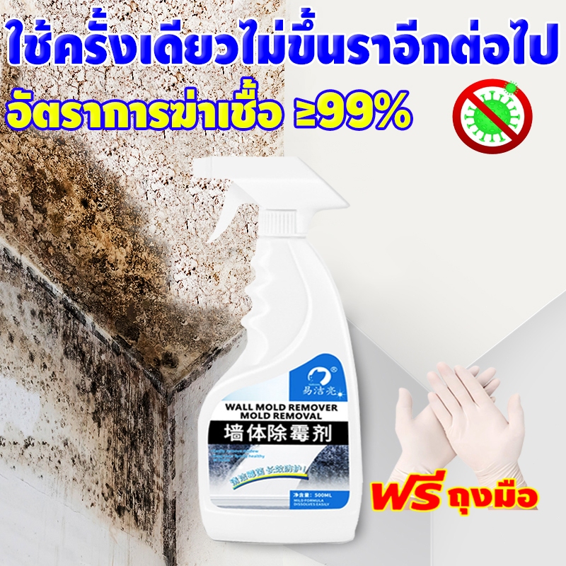 กำจัดเชื้อราใน 1 วินาที สเปรย์กำจัดเชื้อรา 500ml ป้องกันการเกิดใหม่ อัตราการฆ่าเชื้อ ≥99%
