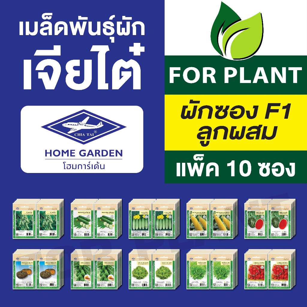 ເມັດພັນຜັກ JeedTaï CT25 ຂາຍສົ່ງ (10 ຊອງ/ແພັກ) ເລືອກໄດ້หลายຊະນິດ