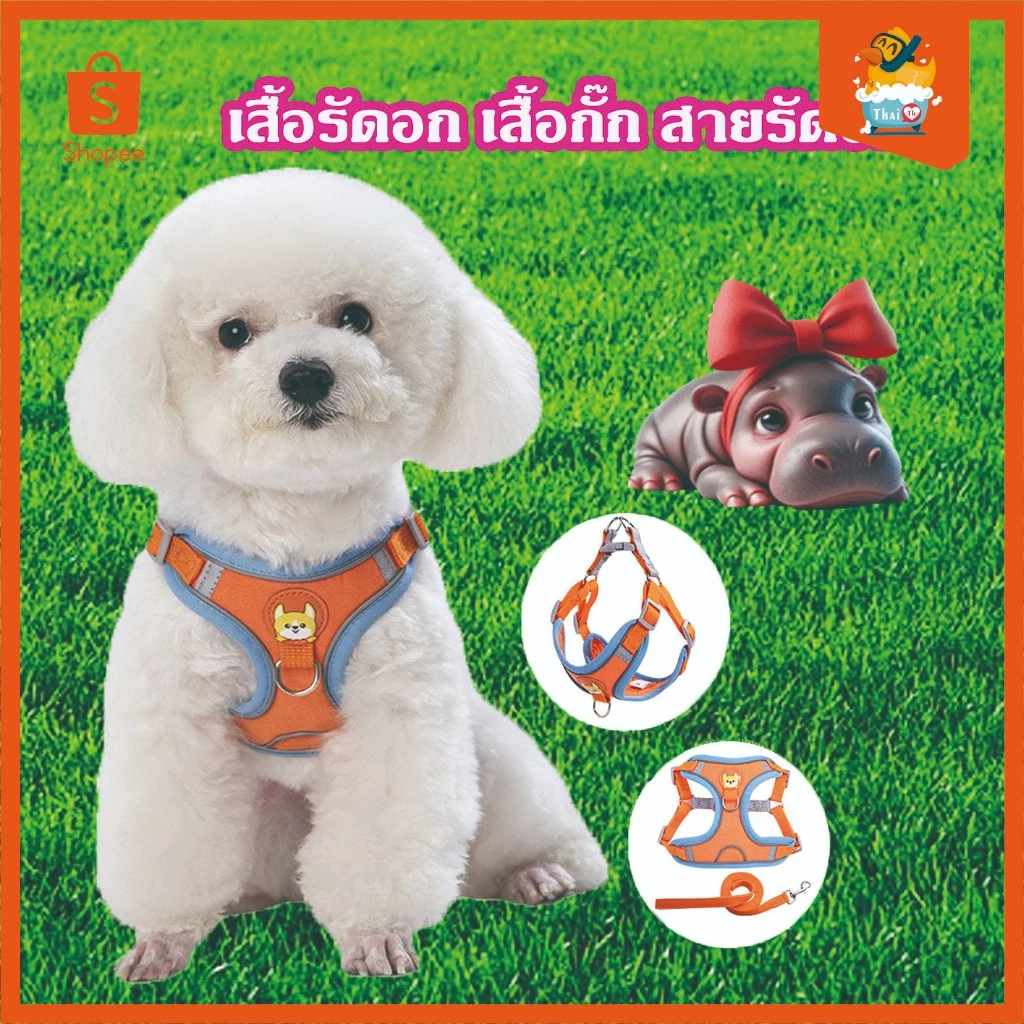 Thai.th เสื้อรัดอก เสื้อกั๊ก สายรัดอก ชุดรัดอก สุนัข หมา แมว พร้อมสายจูง แบบสวมใส่ง่าย มีหลายสี พร้อมส่ง X13