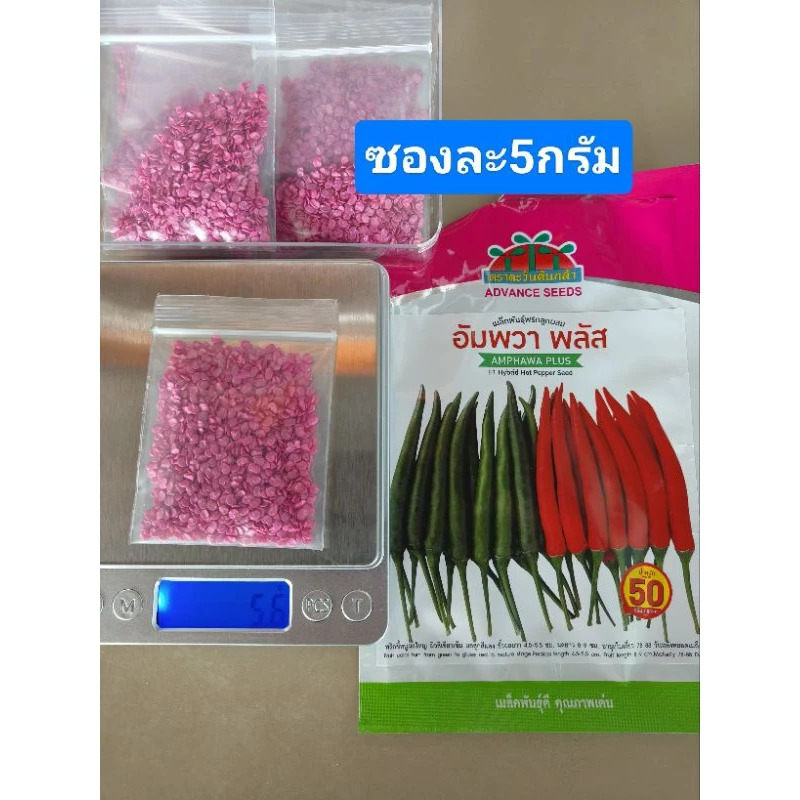 เมล็ดพันธุ์พริกอัมพวาพลัส(แบ่งถุงซิบ5กรัม)อัมพวา ขนาดทดลองปลูก