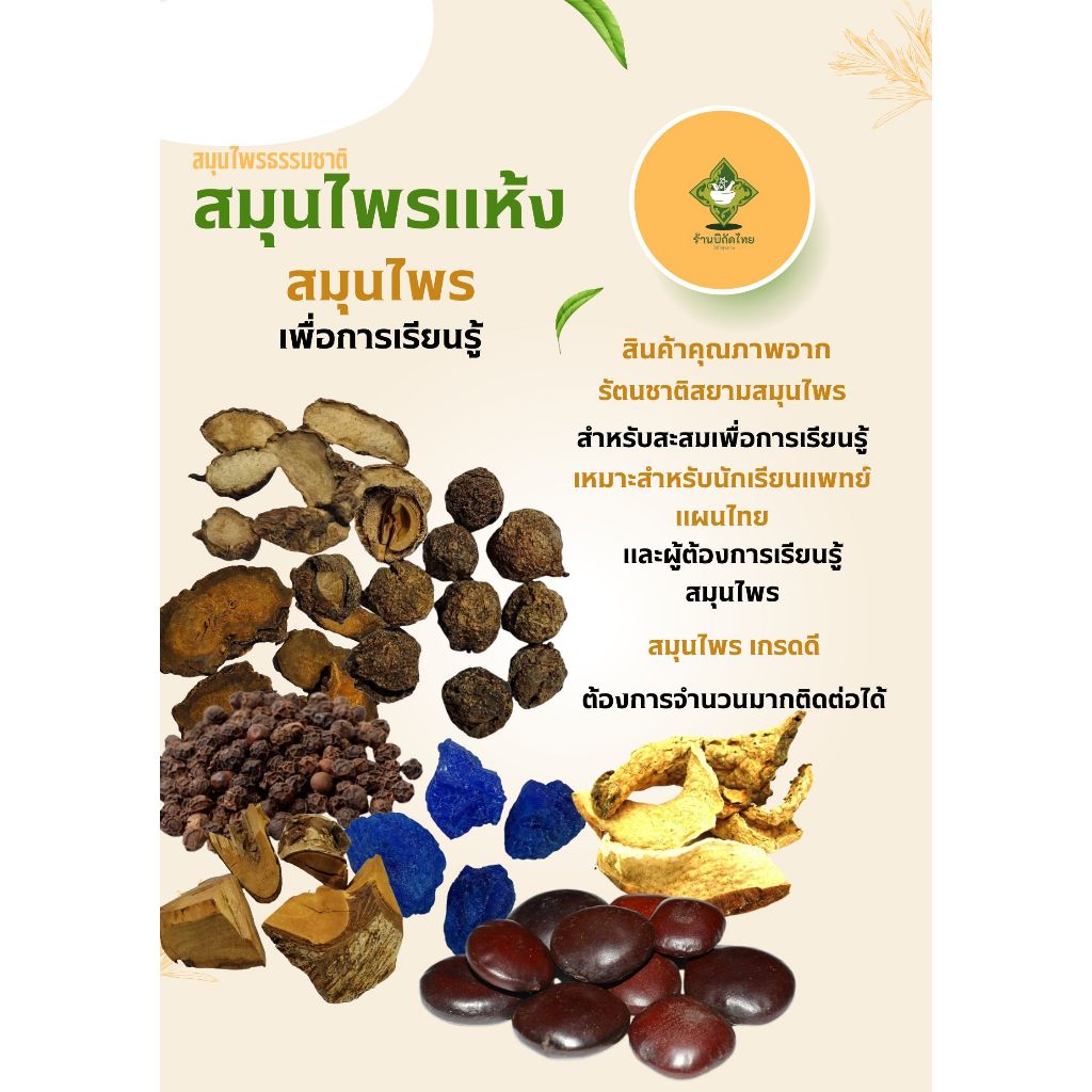 สมุนไพรไทย สมุนไพรเพื่อการเรียนรู้  สำหรับนักเรียนแพทย์แผนไทย และ ผู้เรียนรู้สมุนไพรไทย สมุนไพรสะสม Set 1
