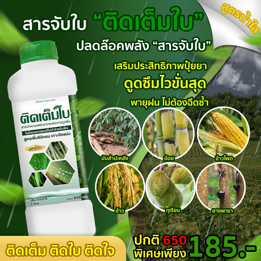 ติดเต็มใบ สารจับใบ สารนำพา เร่งการดูดซึม เสริมฤทธิ์ยา 1ลิตร
