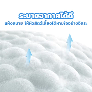 PetStern x Petcho XS-XL Dog Diaper ผ้าอ้อมสุนัข เเพมเพิสสุนัข ผ้าอ้อมสัตว์เลี้ยง สัตว์เลี้ยงชายหญิง ผ้าอนามัยหมา