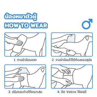 PetStern x Petcho XS-XL Dog Diaper ผ้าอ้อมสุนัข เเพมเพิสสุนัข ผ้าอ้อมสัตว์เลี้ยง สัตว์เลี้ยงชายหญิง ผ้าอนามัยหมา