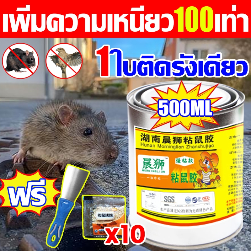 เหนียวสุดกาวดัก กาวดักหนู500ml แรงกว่ากาวธรรมดา100เท่าจับหนู กําจัดหนู กาวดัดหนู 1กระป๋องติดหนูได้100000ตัว กาวดักนก