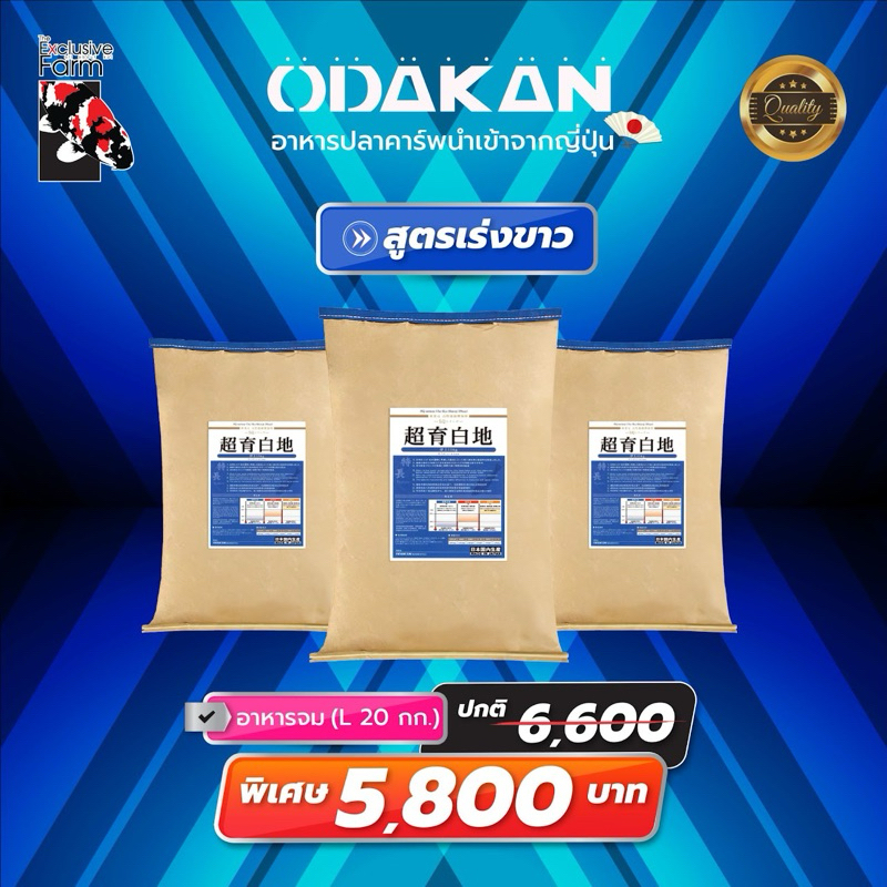 “Odakan อาหารปลาคาร์พนำเข้าจากญี่ปุ่น” สูตรเร่งขาว(เม็ดจม)