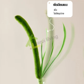 Harmcat ของเล่นแมว Cat Toy ไม้ตกแมว พร้อมขนนก ไม้ล่อแมวสปริง ของเล่นสัตว์เลี้ยง ไม้แมวหางยาว ทนทาน ไม่หัก