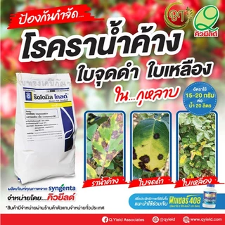 ขนาด 500 กรัม ริดโดมิลโกลด์ เอ็มแซด 68 ดับบลิวจี คิวยีลด์ สารป้องกันกำจัดโรคพืช