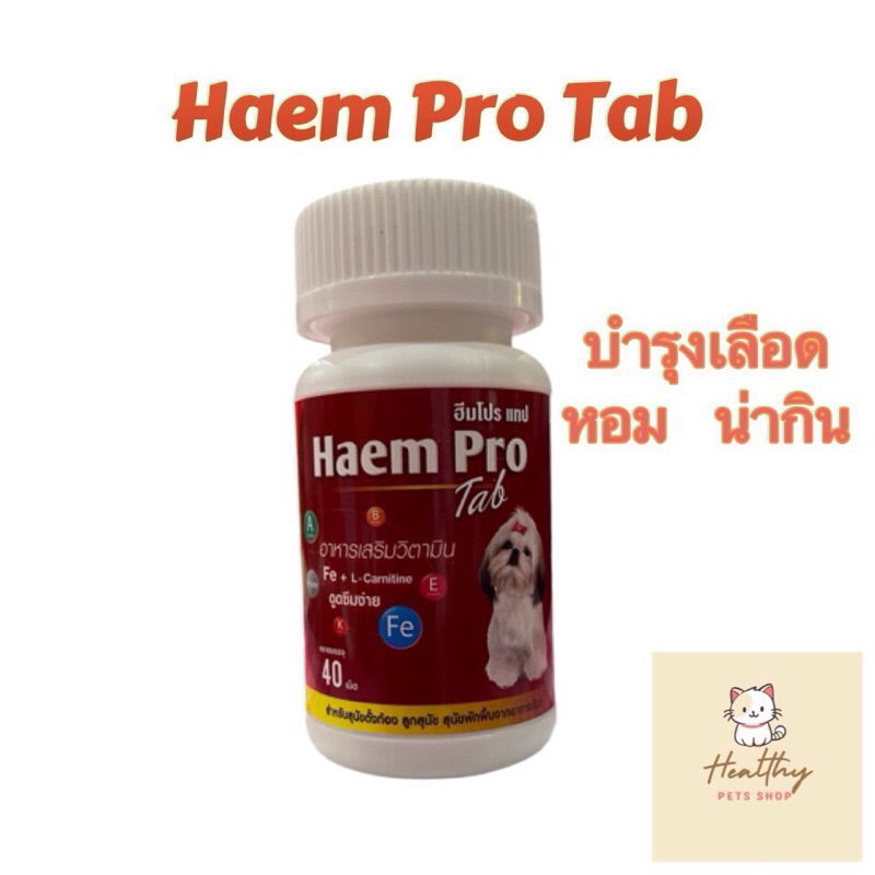 Haem Pro Tab ฮีมโปร แทป บำรุงเลือด 40 เม็ด exp 12/26
