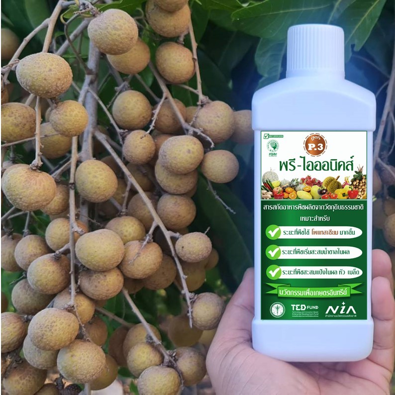 สารสกัดอาหารพืช (สูตร P.3) ทดแทน ปุ๋ยโพแทสเซียมเคมี สำหรับปลูกพืชอินทรีย์ รับรองมาตรฐานอินทรีย์ IFOAM - รูปที่ 5