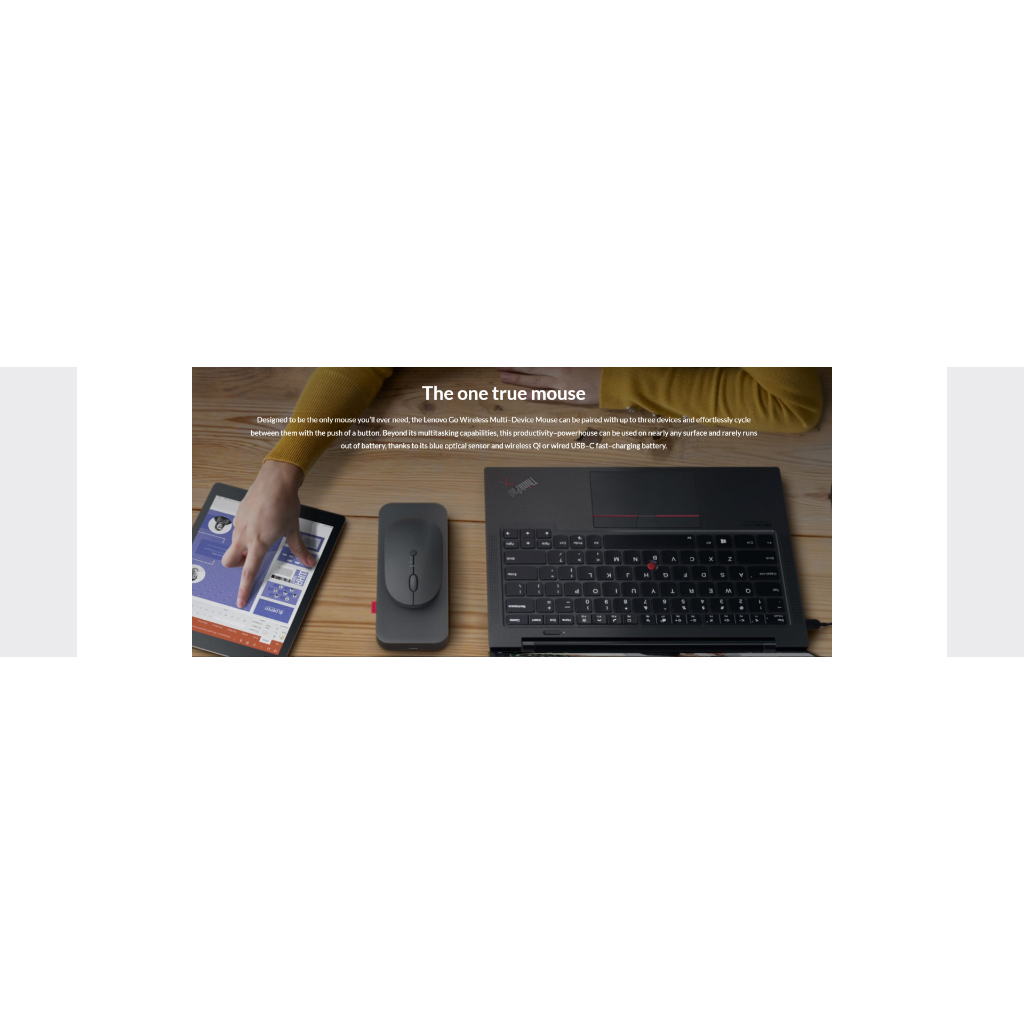 Lenovo Go Wireless Multi-Device Mouse (Storm Grey) (GY51C21211)