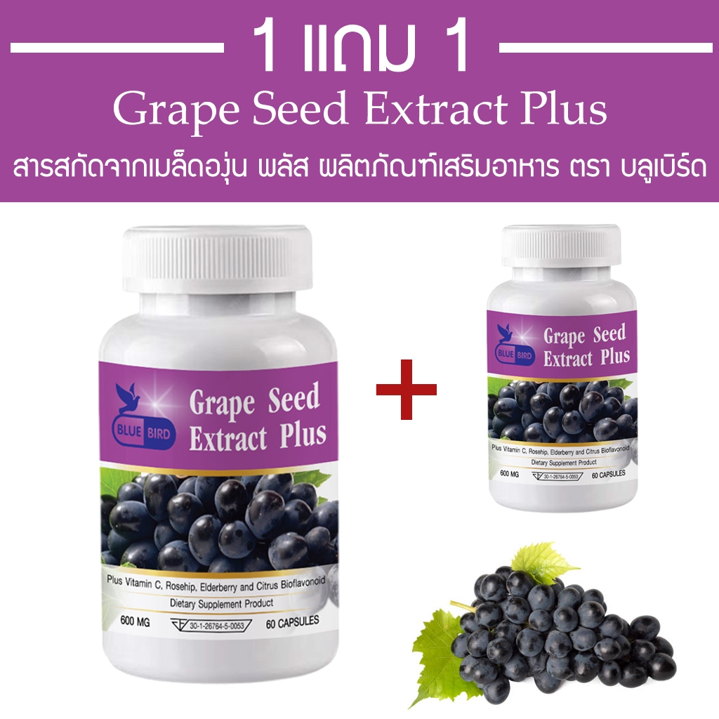 [1แถม1] สารสกัดจากเมล็ดองุ่น พลัส Grape Seed Extract Plus ตรา บลูเบิร์ด ขนาด 600 มิลลิกรัม 60 แคปซูล
