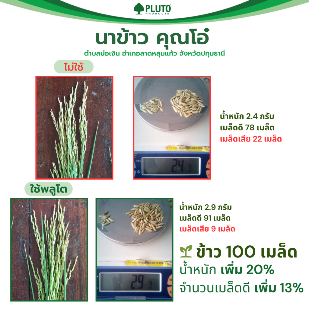 พลูโต เอเอ แบบหว่าน สำหรับพืชไร่ ผักสวนครัว ผักสลัด ไม้กระถาง พืชไร่ มันสำปะหลัง นาข้าว - รูปที่ 2