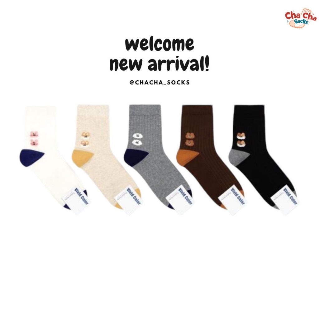 [พิมพ์โค้ด CHAC11 ซื้อ 300.- ลด 60.-] Chacha socks - ถุงเท้าข้อยาว Ribbed Pom Pom Socks แบรนด์ Vivid Color ถุงเท้าเกาหลี